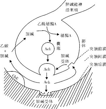 pagenumber_ebook=45,pagenumber_book=45