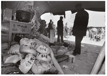 pagenumber_ebook=261,pagenumber_book=255