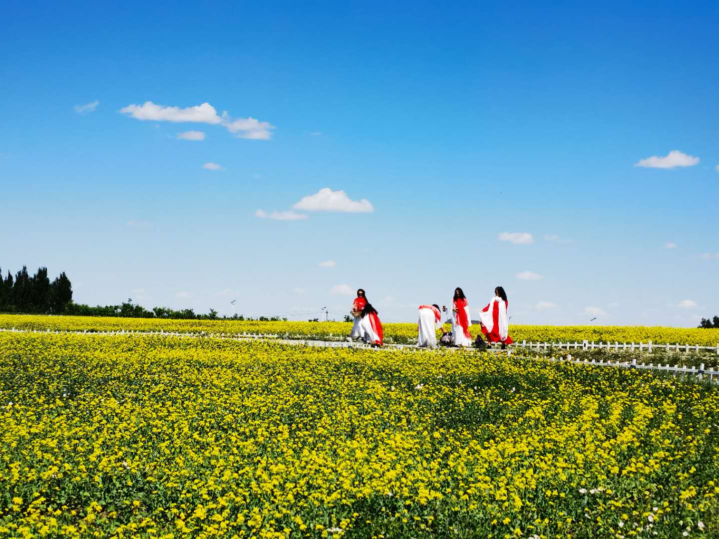 7632b221fe15a37209d2f38cc96b25a 7632b221fe15a37209d2f38cc96b25a.jpg