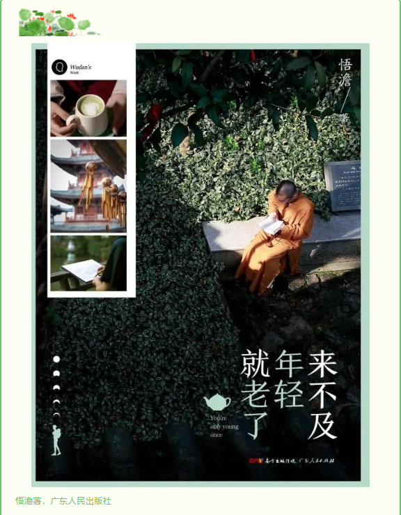 image image.png?v=1763574337440