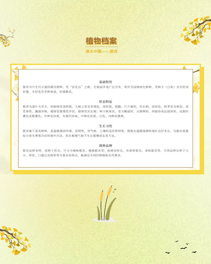 image.png?v=1762073802454