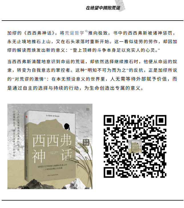 image.png?v=1766280841969