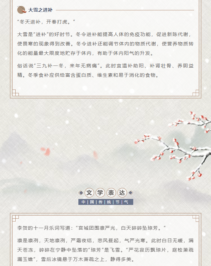 image.png?v=1766232895936