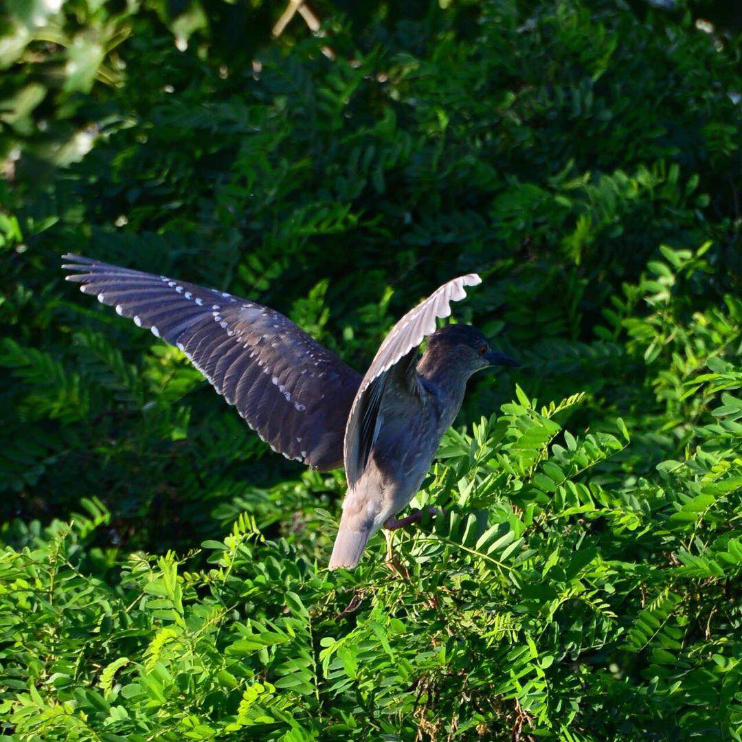 微信图片_2020060516411212