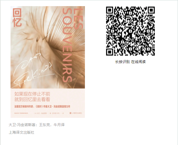 image image.png?v=1763590209924