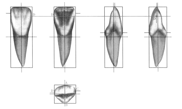 pagenumber_ebook=183,pagenumber_book=174