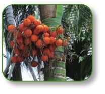 pagenumber_ebook=156,pagenumber_book=143