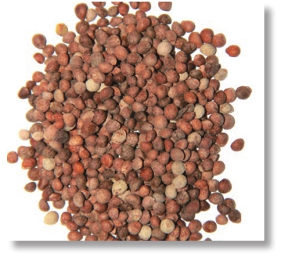 pagenumber_ebook=217,pagenumber_book=204