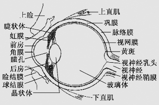 pagenumber_ebook=40,pagenumber_book=27