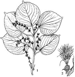 pagenumber_ebook=146,pagenumber_book=146