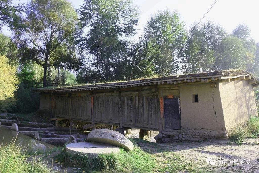 1 1.jpg