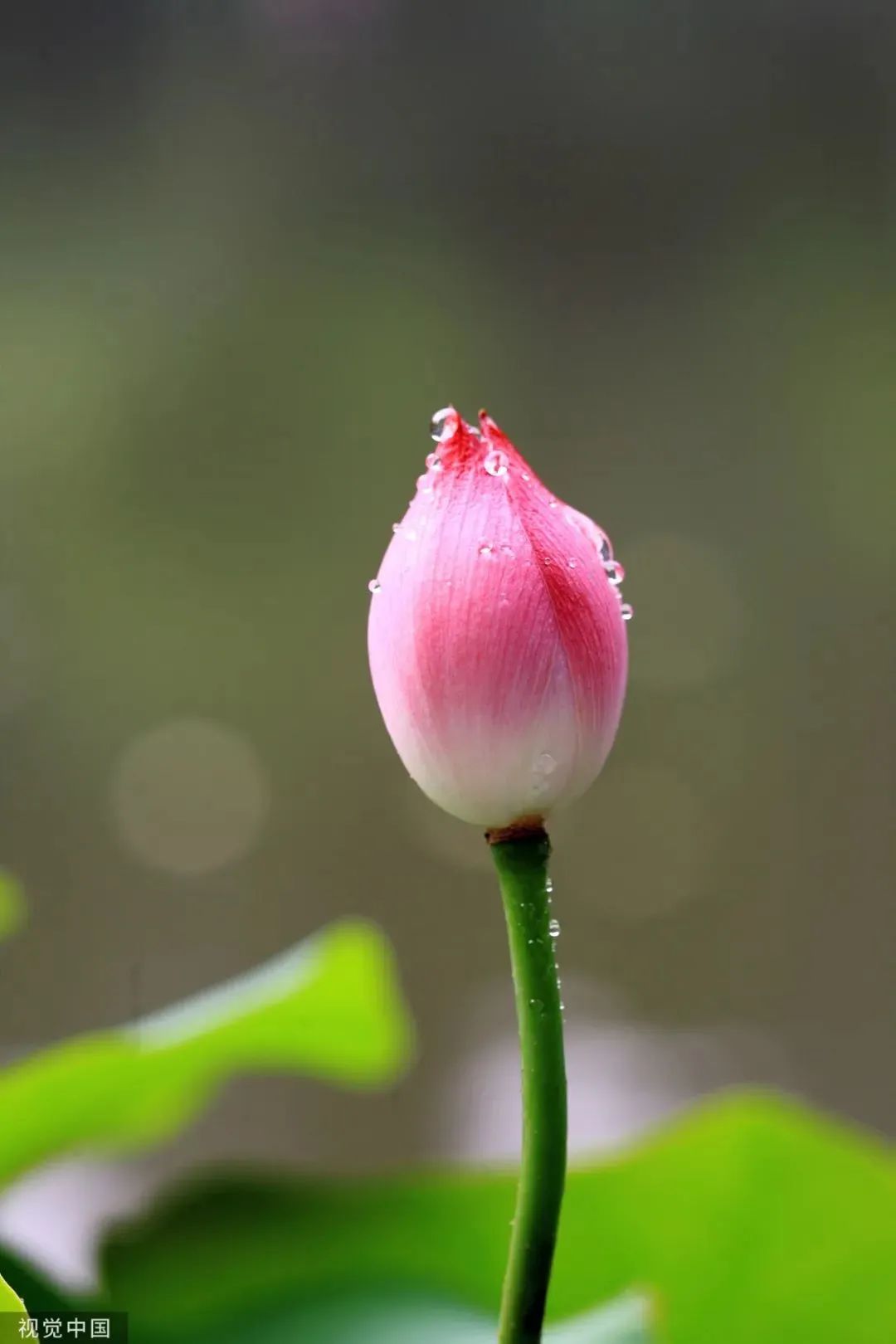 a93f32d4a34e0c944b7d3d8cf5881037 a93f32d4a34e0c944b7d3d8cf5881037.jpg