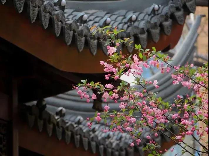 微信图片_20210403181803 微信图片_20210403181803.jpg