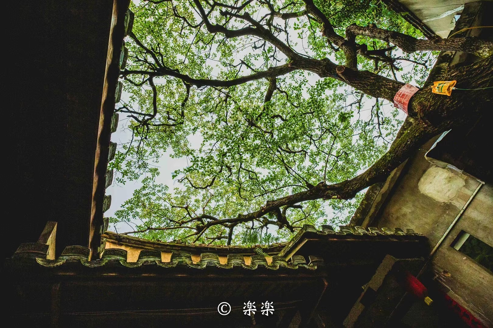 微信图片_20220406153840 微信图片_20220406153840.png