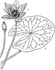 pagenumber_ebook=240,pagenumber_book=240