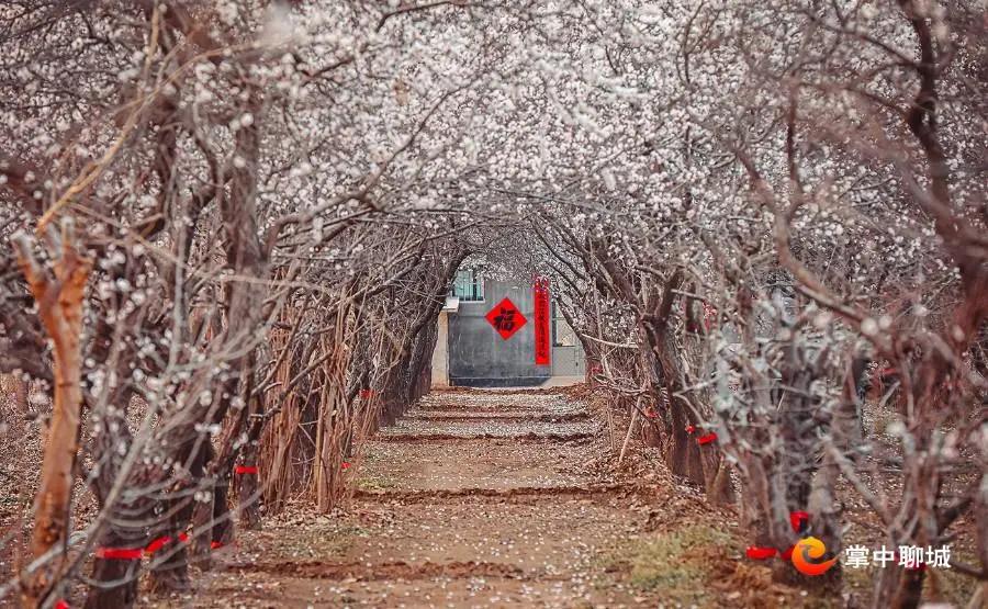 微信图片_20210324085050 微信图片_20210324085050.jpg