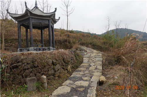 DSC07065 DSC07065.jpg