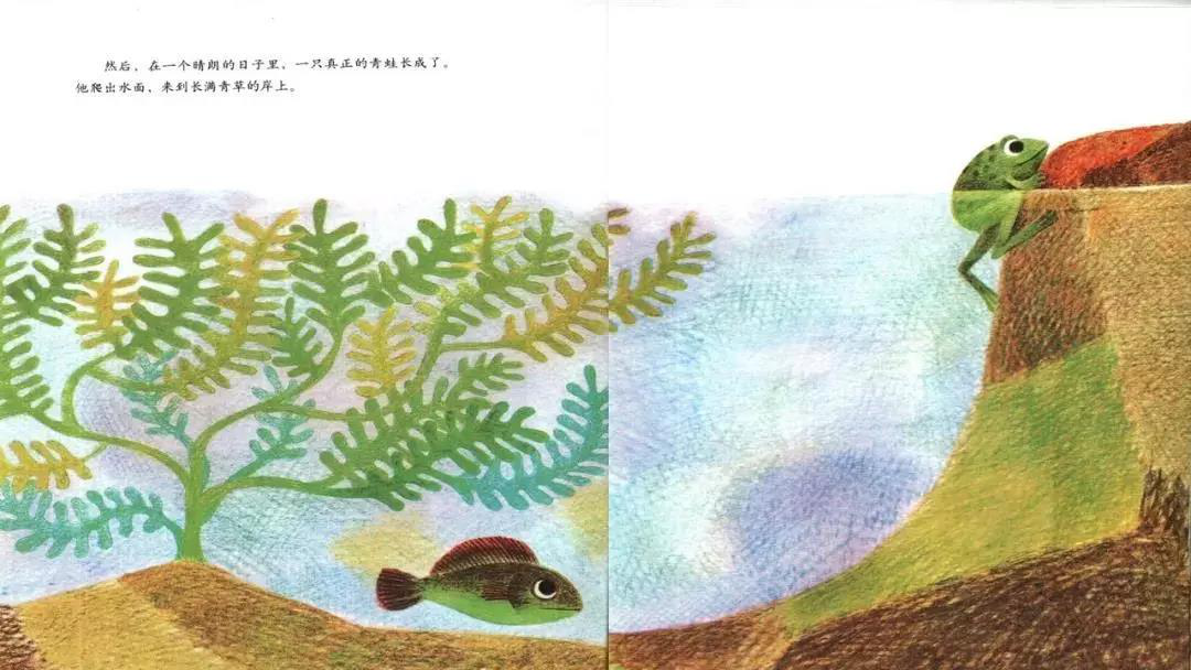 图片9 图片9.png?v=1772866542523