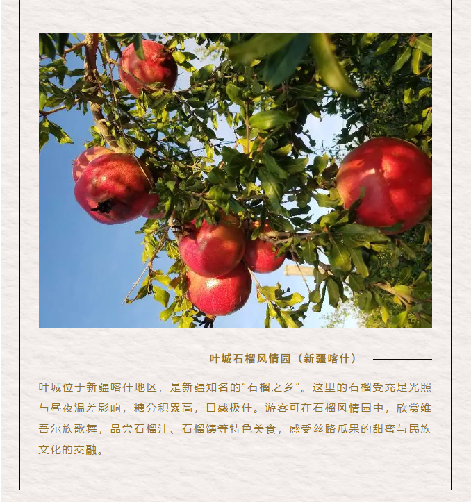 image.png?v=1762073883182