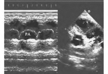 pagenumber_ebook=457,pagenumber_book=457