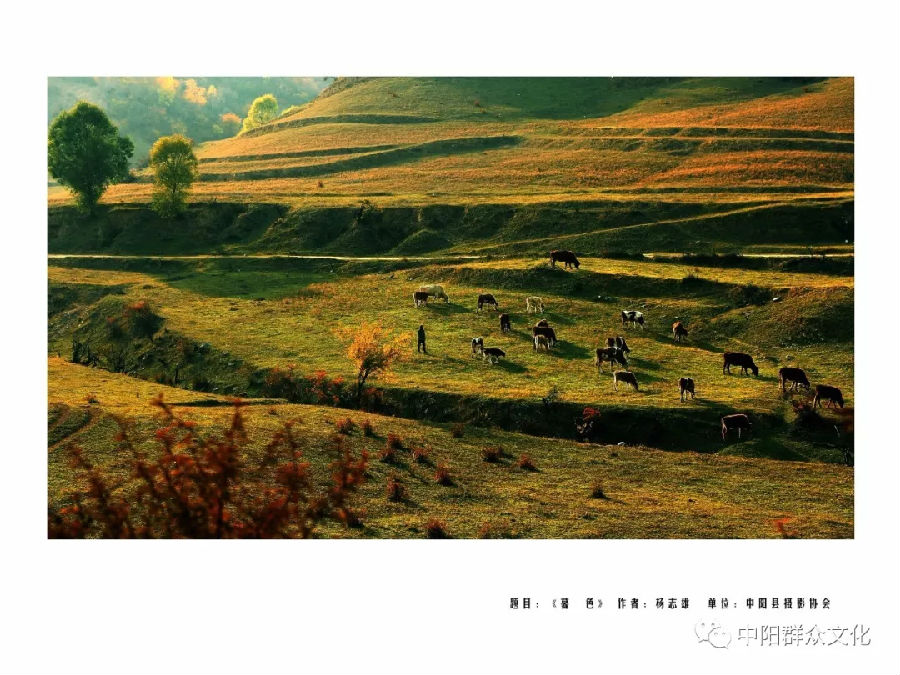 640.webp (9).jpg?v=1764880118725