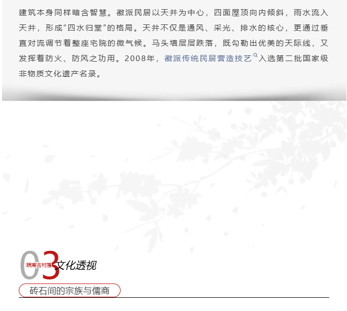 image.png?v=1789543802702