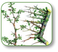 pagenumber_ebook=180,pagenumber_book=167