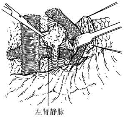 pagenumber_ebook=495,pagenumber_book=480