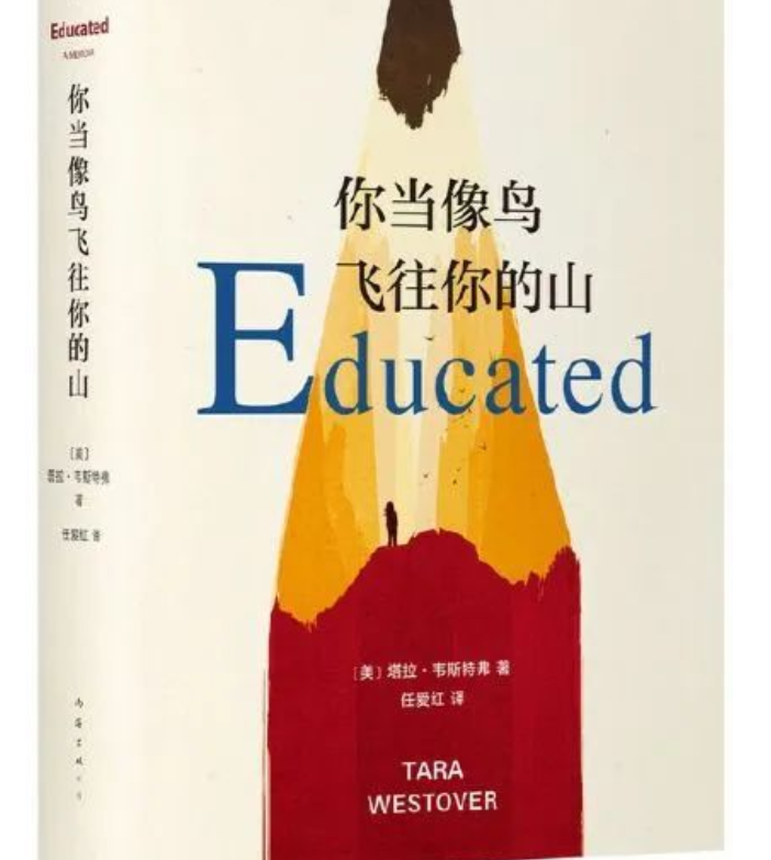 image image.png?v=1762154937305