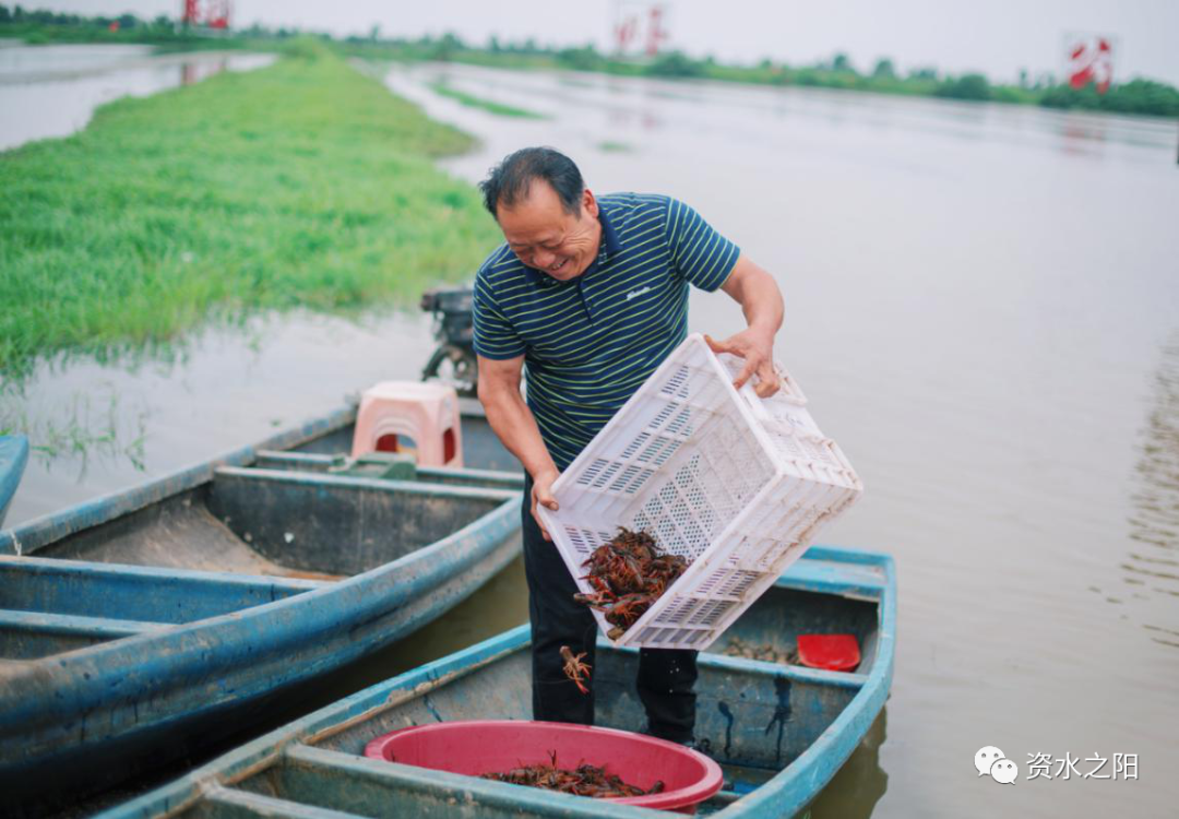 14 14.png?v=1765880647888