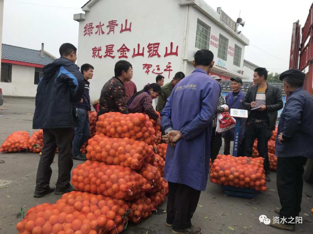 20 20.png?v=1765880647888