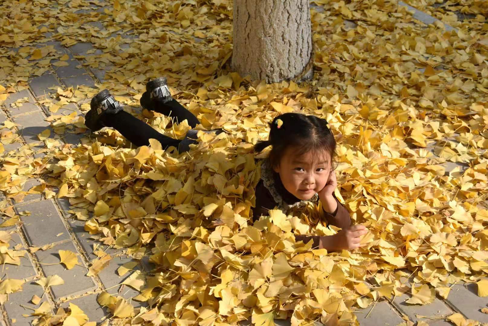 微信图片_202012142005354