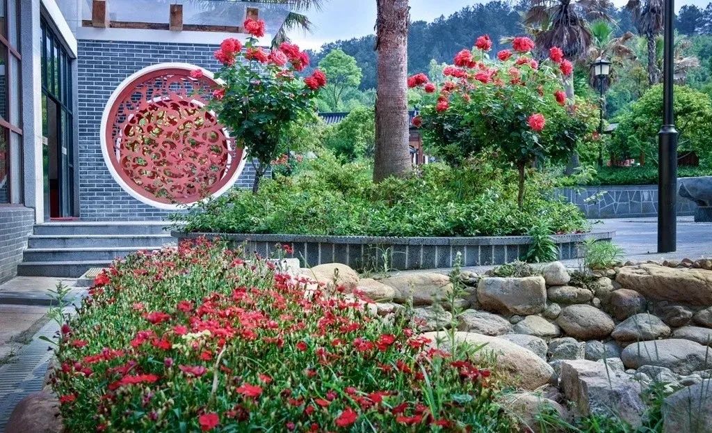 https://mmbiz.qpic.cn/mmbiz_jpg/MKZSFloDgrLSLz6rUpfWMOgxQSTnkzR2ntVRUdpPNLsdgZCx3thQpjNIxLHKq0jTs0hPXpvM3KMlEnmy65HPyw/640?wx_fmt=jpeg&wxfrom=5&wx_lazy=1&wx_co=1