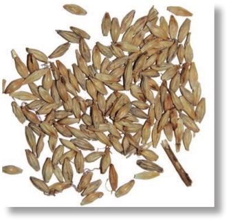 pagenumber_ebook=150,pagenumber_book=137