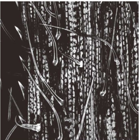 pagenumber_ebook=71,pagenumber_book=64