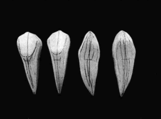 pagenumber_ebook=200,pagenumber_book=191