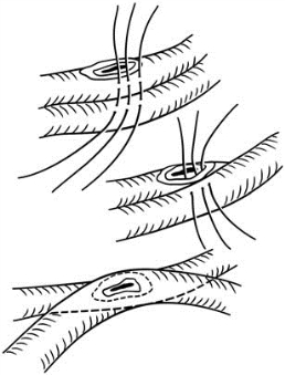 pagenumber_ebook=566,pagenumber_book=551