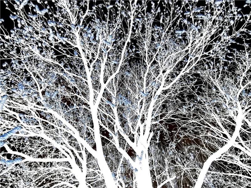 微信图片_20210318082711