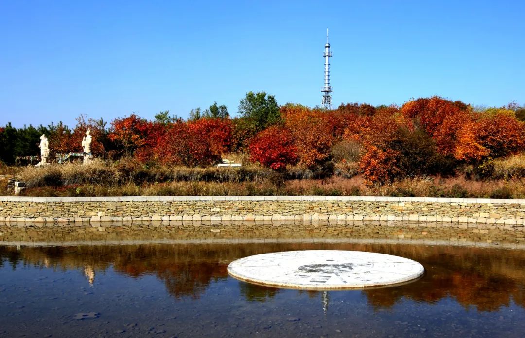 微信图片_20220804160954 - 副本