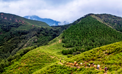 1681889204390 1681889204390.png