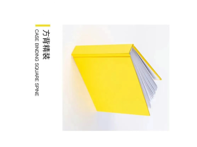 image.png?v=1757830622152