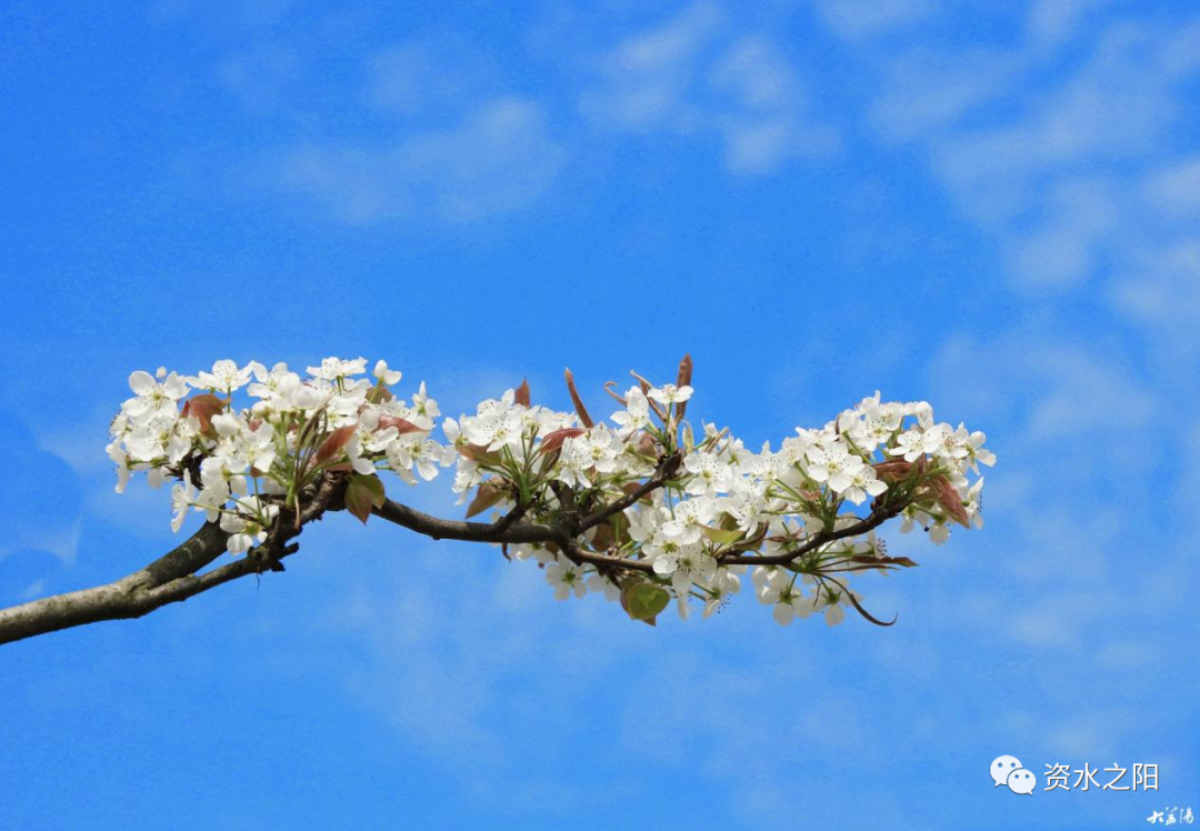 2 2.png?v=1765880507799