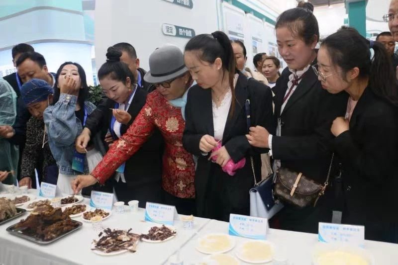 2 2.jpg?v=1765701187538