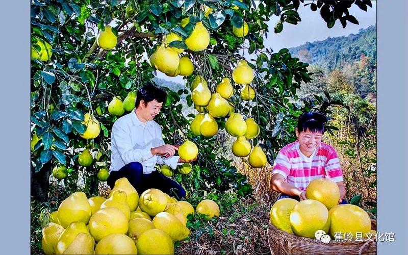 18 18.jpg?v=1765891042459