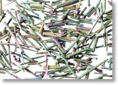 pagenumber_ebook=14,pagenumber_book=1