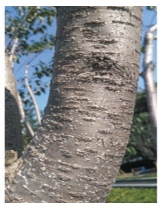 pagenumber_ebook=31,pagenumber_book=23