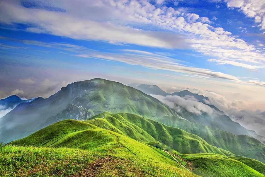 微信图片_20200711002511 微信图片_20200711002511.jpg