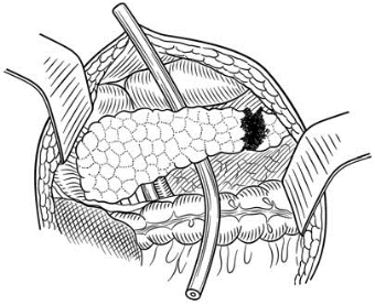 pagenumber_ebook=579,pagenumber_book=564