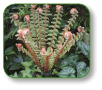 pagenumber_ebook=61,pagenumber_book=48