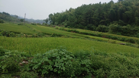 图片 55 图片 55.png